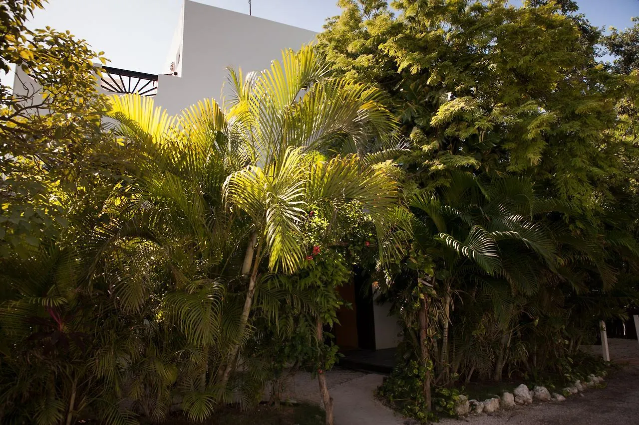 Mango Tulum Hotel