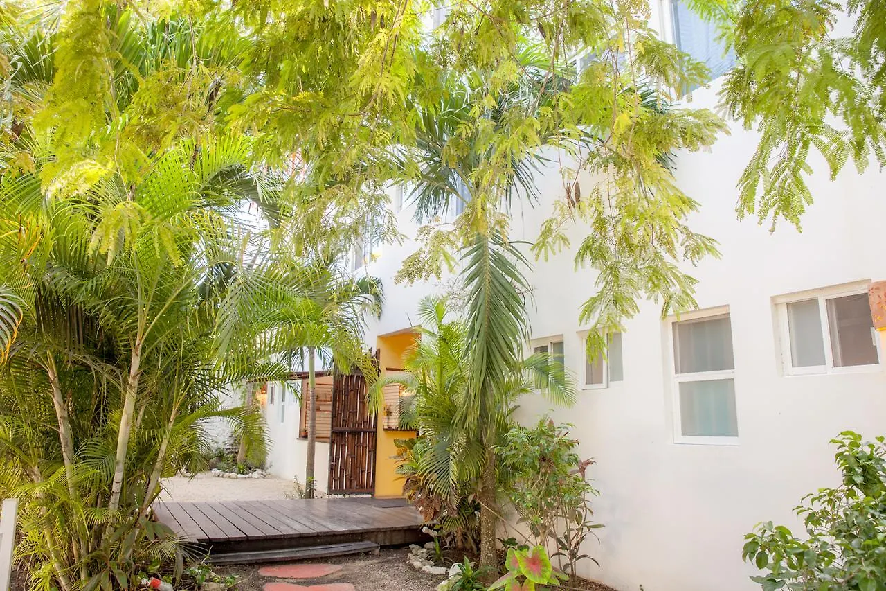 Mango Tulum Hotel